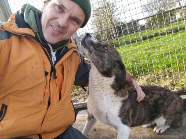 Bunker, noir - marron - blanc Date d'arrivée au male young Mixed Breed for adoption at Remember Me France
