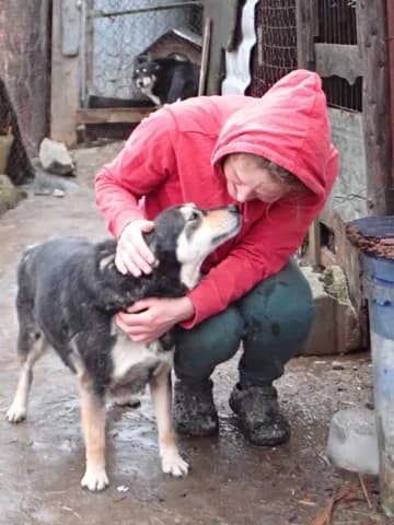 Cleopatra, female 7yo Mixed Breed for adoption at Remember Me France