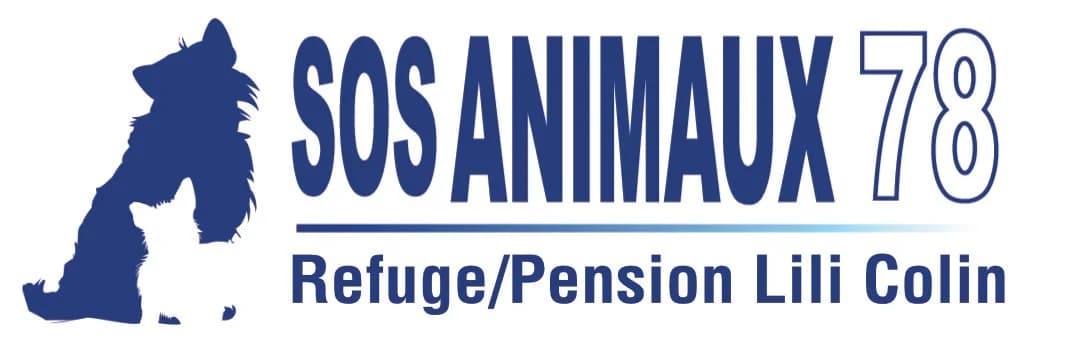 LUIGI, Mixed Breed for adoption at SOS Animaux 78, sos animaux 78
