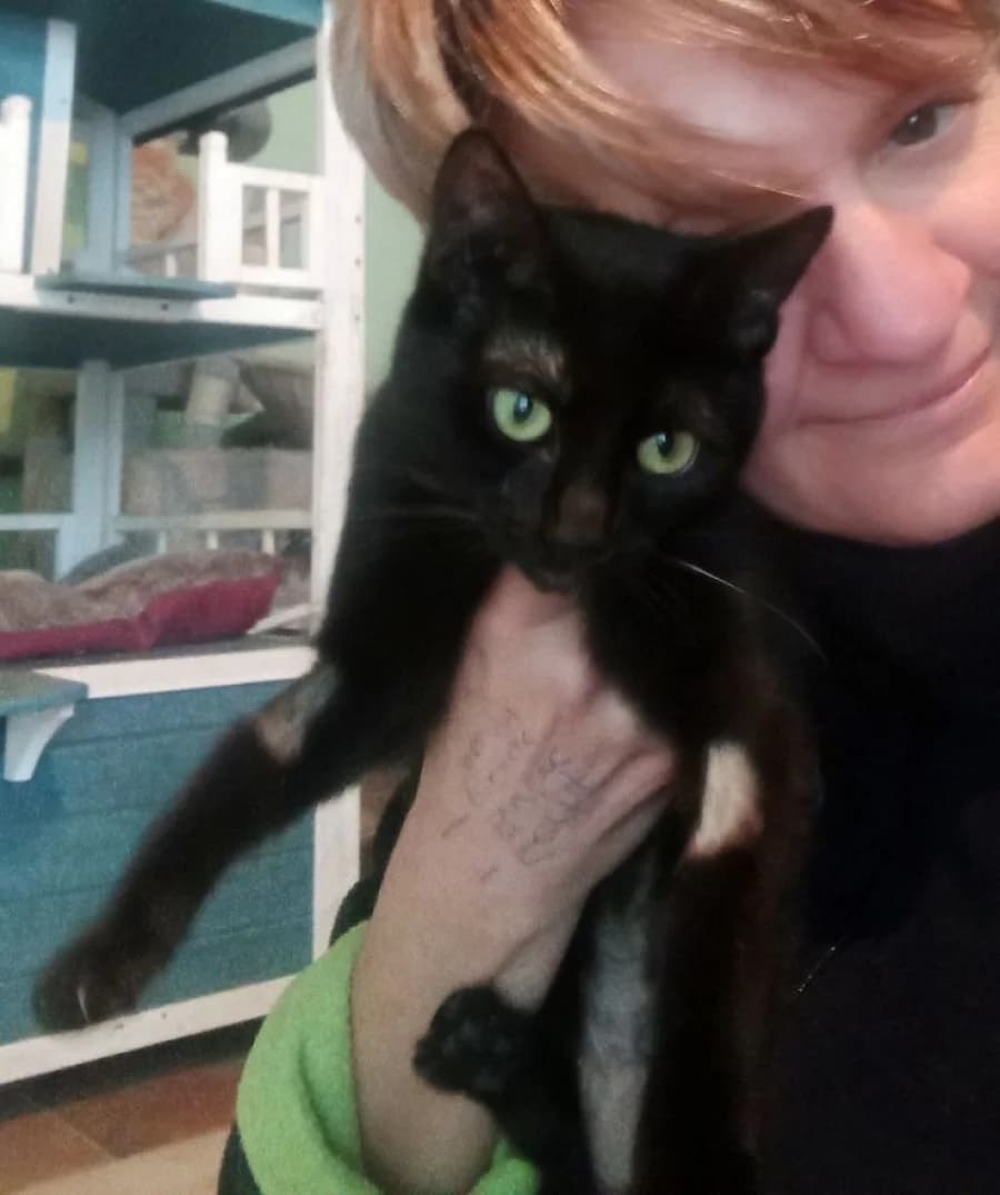 Bolero, male mixed breed for adoption at SOS Animaux Pays de Gex