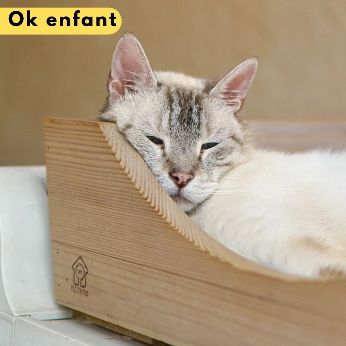 Mayor, male Mixed Breed for adoption at SPA de Loire Atlantique, Nantes