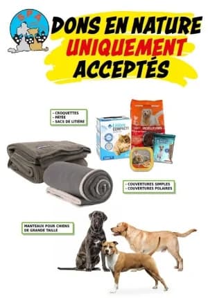 Comment nous aider ?,  Mixed Breed for adoption at SPA de la Haute-Vienne, Couzeix — photo 8 of 9