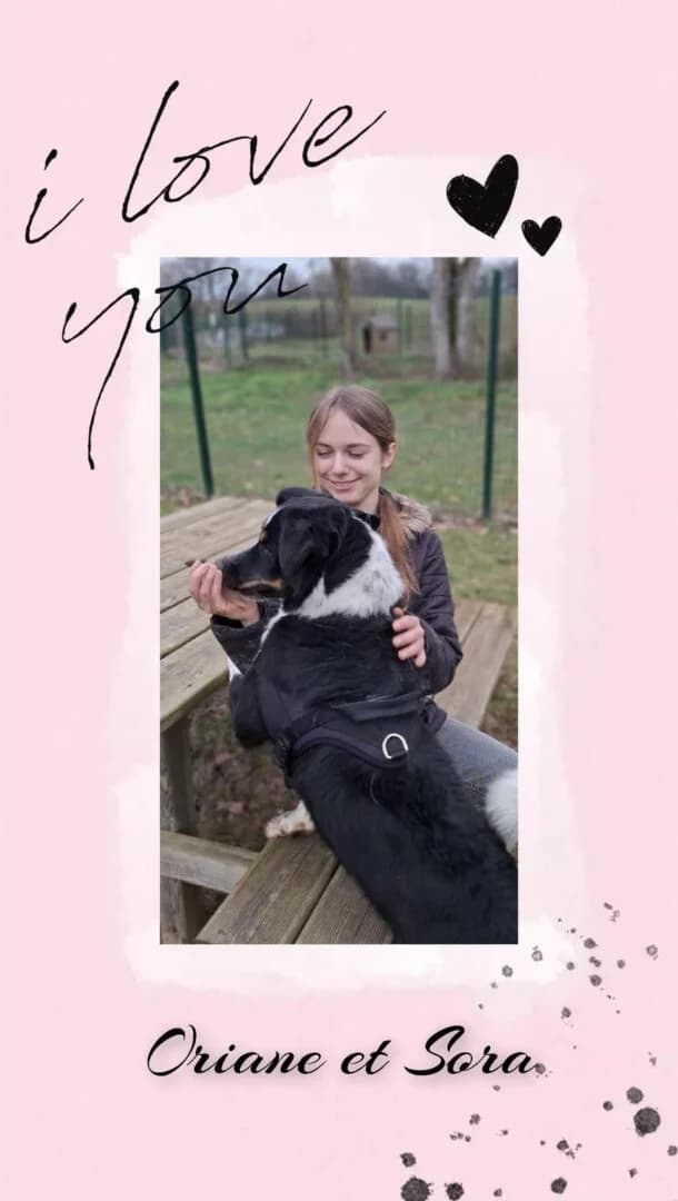 Sora, male 4yo Mixed Breed for adoption at SPA du Gers