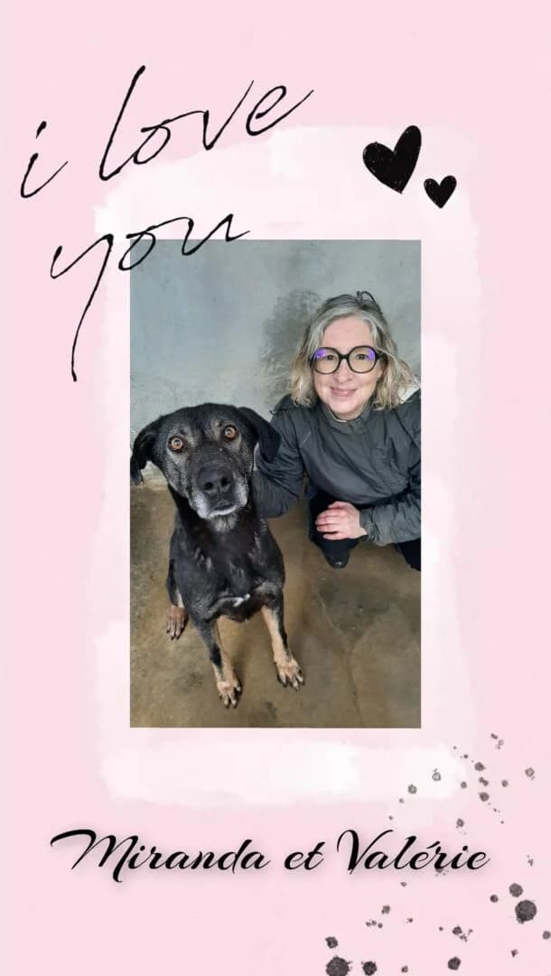 Miranda, female 6yo Mixed Breed for adoption at SPA du Gers