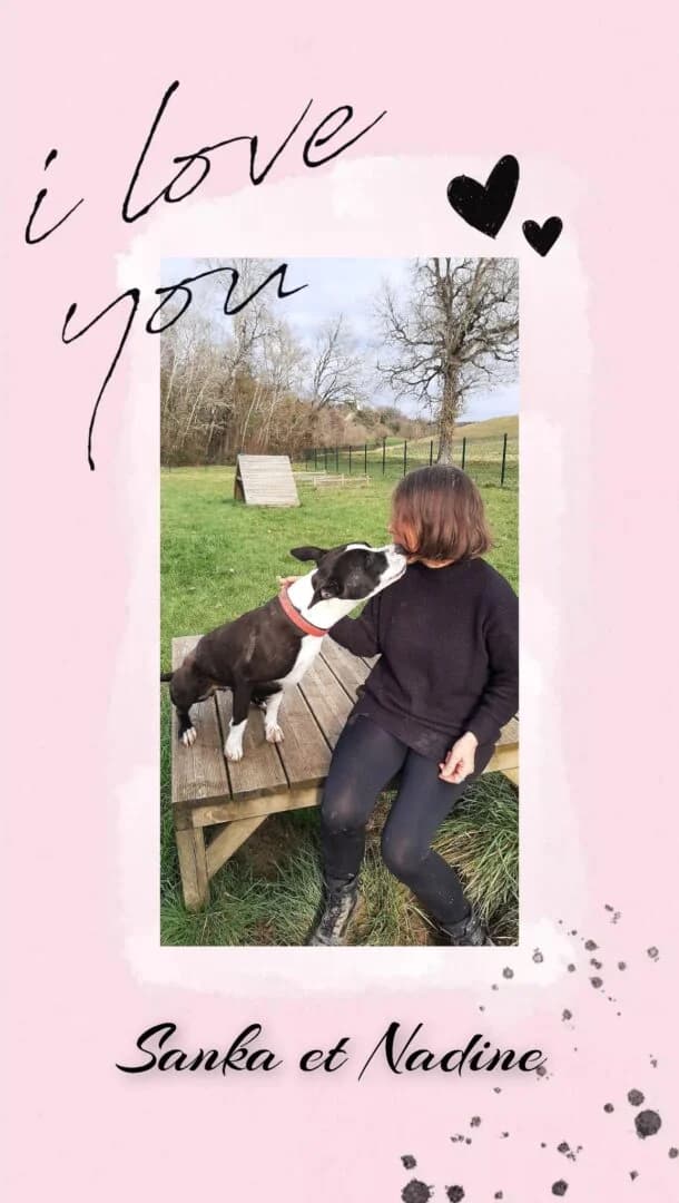 Sanka, female 5yo Mixed Breed for adoption at SPA du Gers