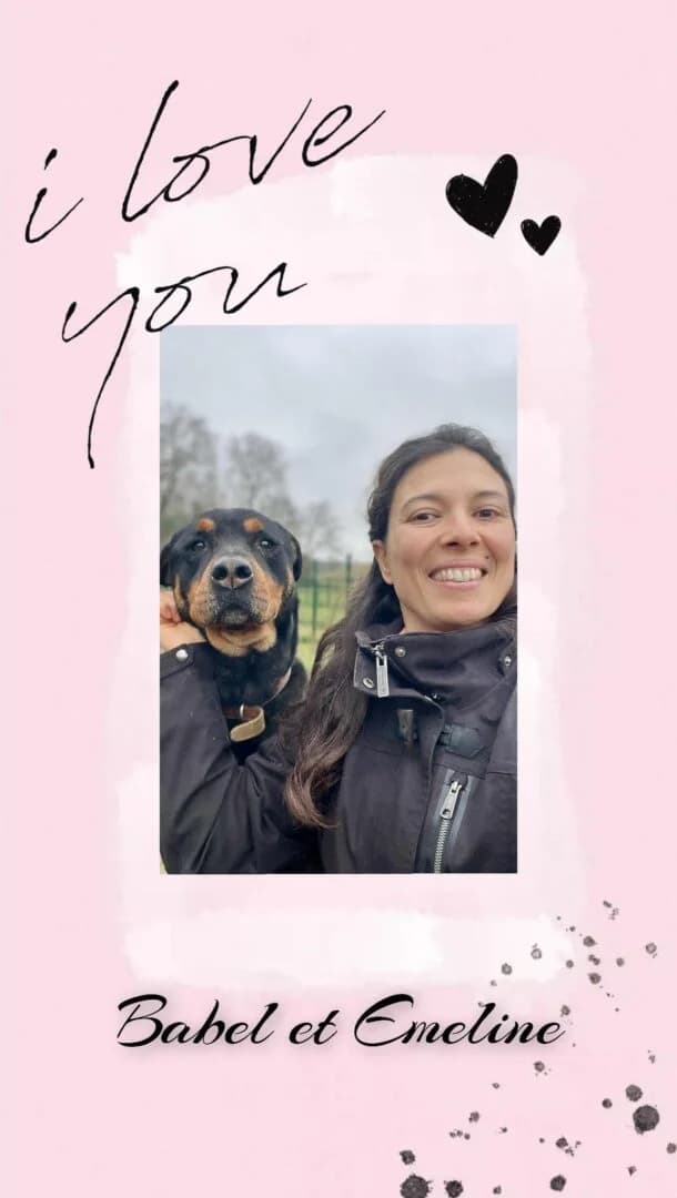 Babel, male 5yo Mixed Breed for adoption at SPA du Gers
