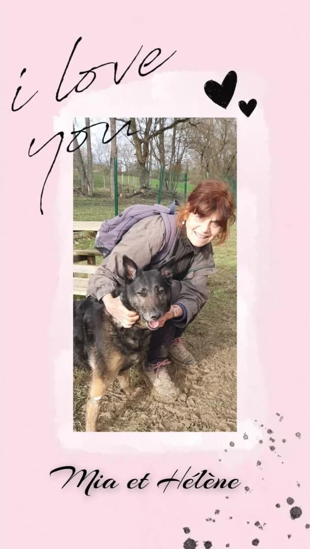 🆘️ Doyenne 🆘️ Mia, female senior Mixed Breed for adoption at SPA du Gers