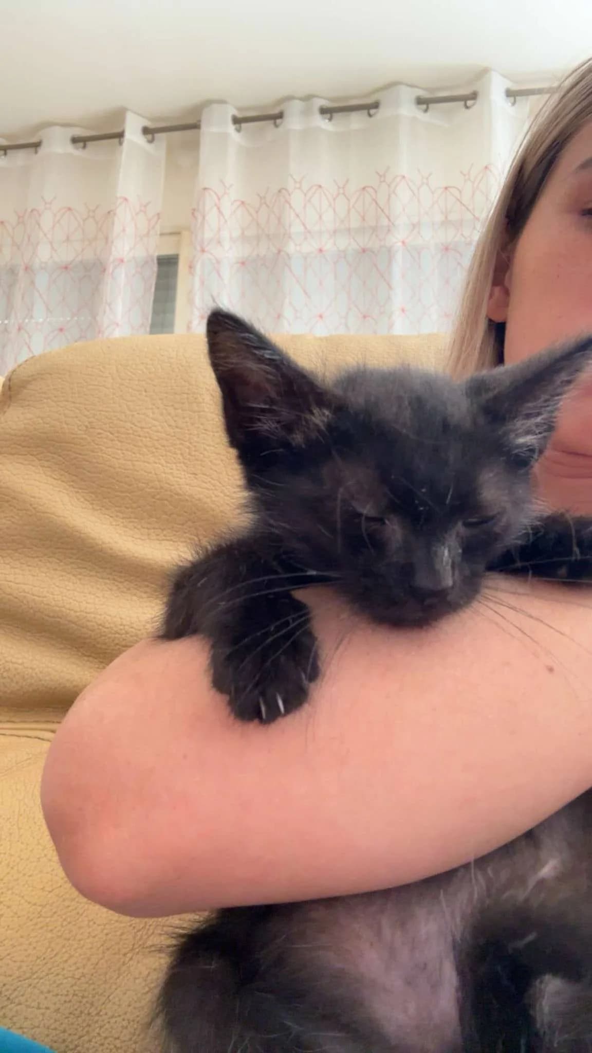 Dobby,  Mixed Breed for adoption at Association Thalya Protection — photo 3 of 3