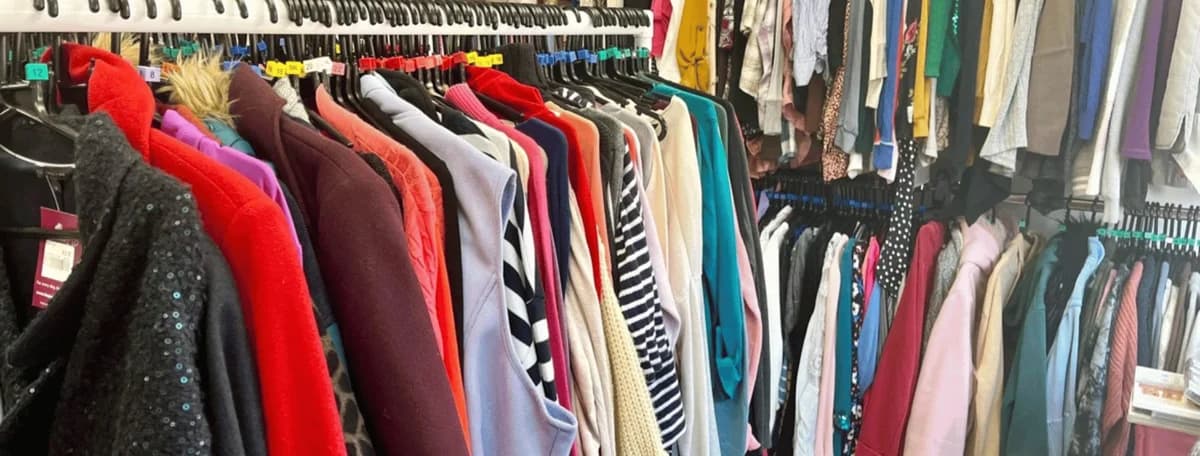 Our Charity Shops, Mixed Breed for adoption at Hope Rescue, Pontyclun