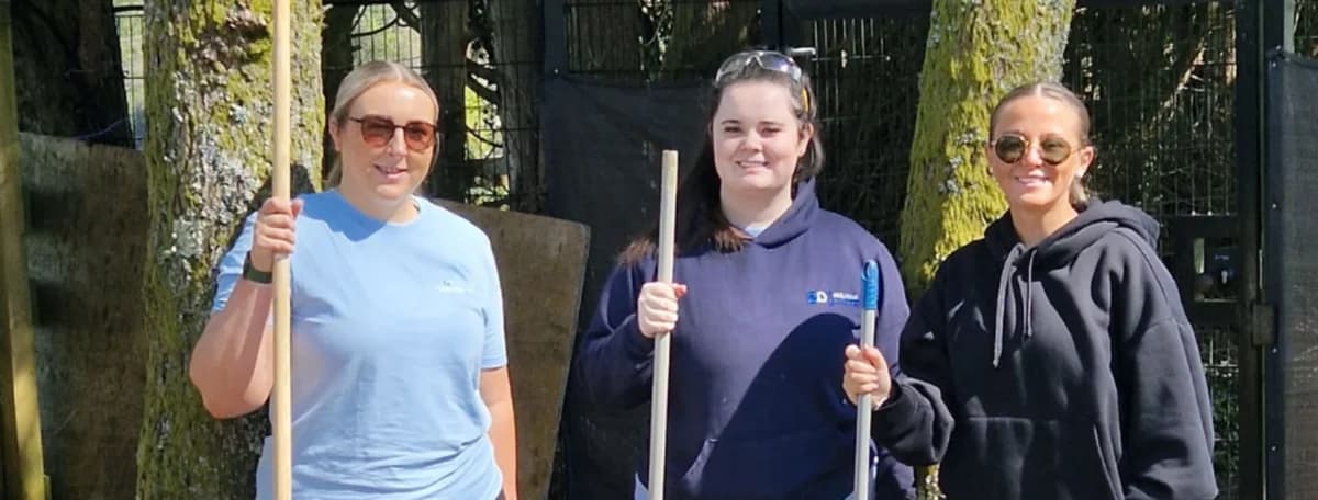 Corporate Volunteer Days, puppy Mixed Breed for adoption at Hope Rescue, Pontyclun