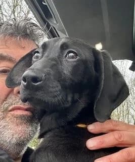 Gala,  (All Dogs Matter)