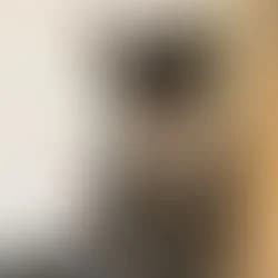 Oakley, male puppy Mixed Breed for adoption at CAFO Rescue