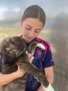 Navy, female Mixed Breed for adoption at Dogs N Homes Rescue, London — photo 2 of 15