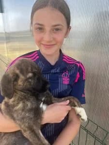 Navy, female Mixed Breed for adoption at Dogs N Homes Rescue, London — photo 3 of 15