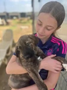 Navy, female Mixed Breed for adoption at Dogs N Homes Rescue, London — photo 5 of 15