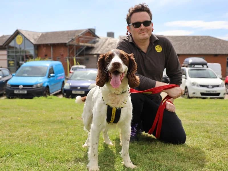 Pebbles, male senior mixed breed for adoption at Dogs Trust Leeds, Leeds