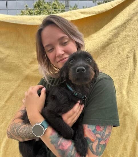 Parmesan, male puppy Mixed Breed for adoption at Jerry Green Dog Rescue, Lincoln