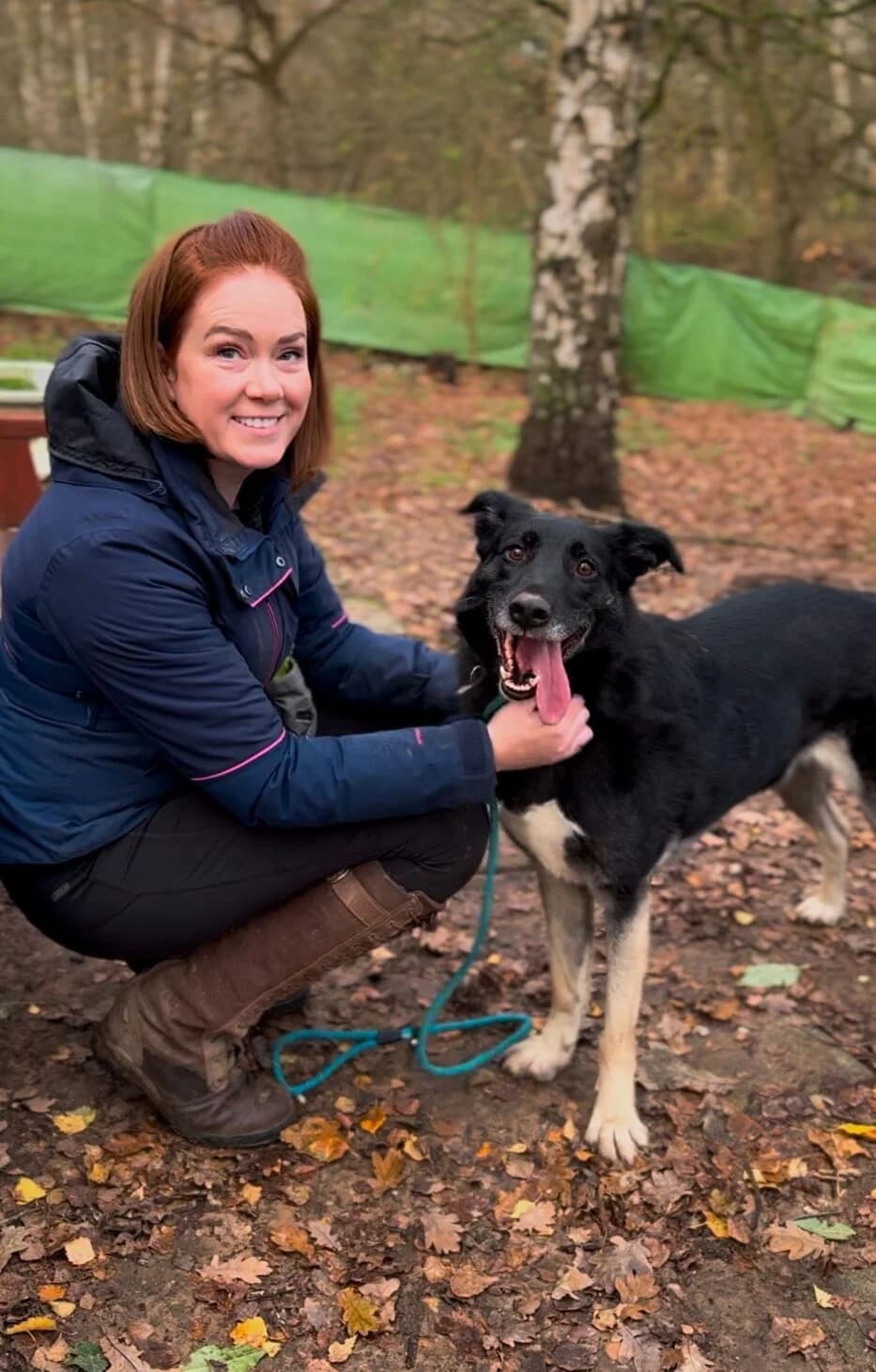 Harri, female Mixed Breed for adoption at Mayflower Sanctuary