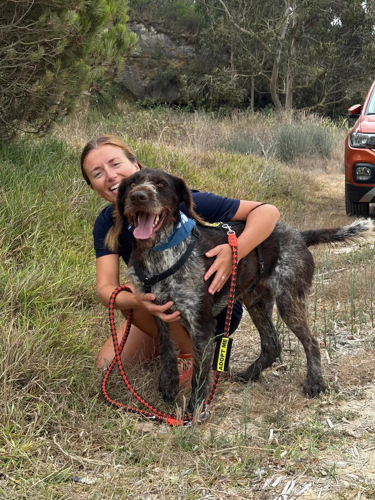 Balu (walks differently, male 6yo mixed breed for adoption at Miracle