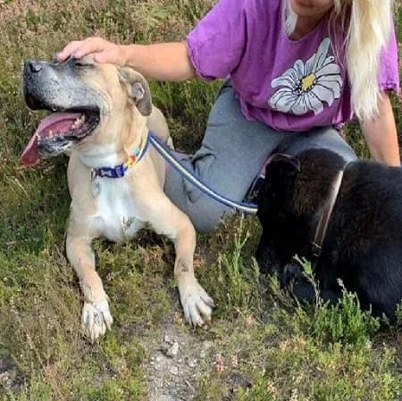 ET, male senior Mixed Breed for adoption at The Oldies Club