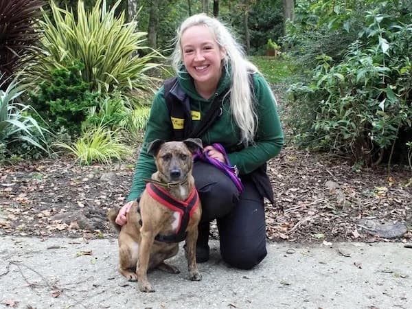 Barney, Mixed Breed (The Oldies Club)