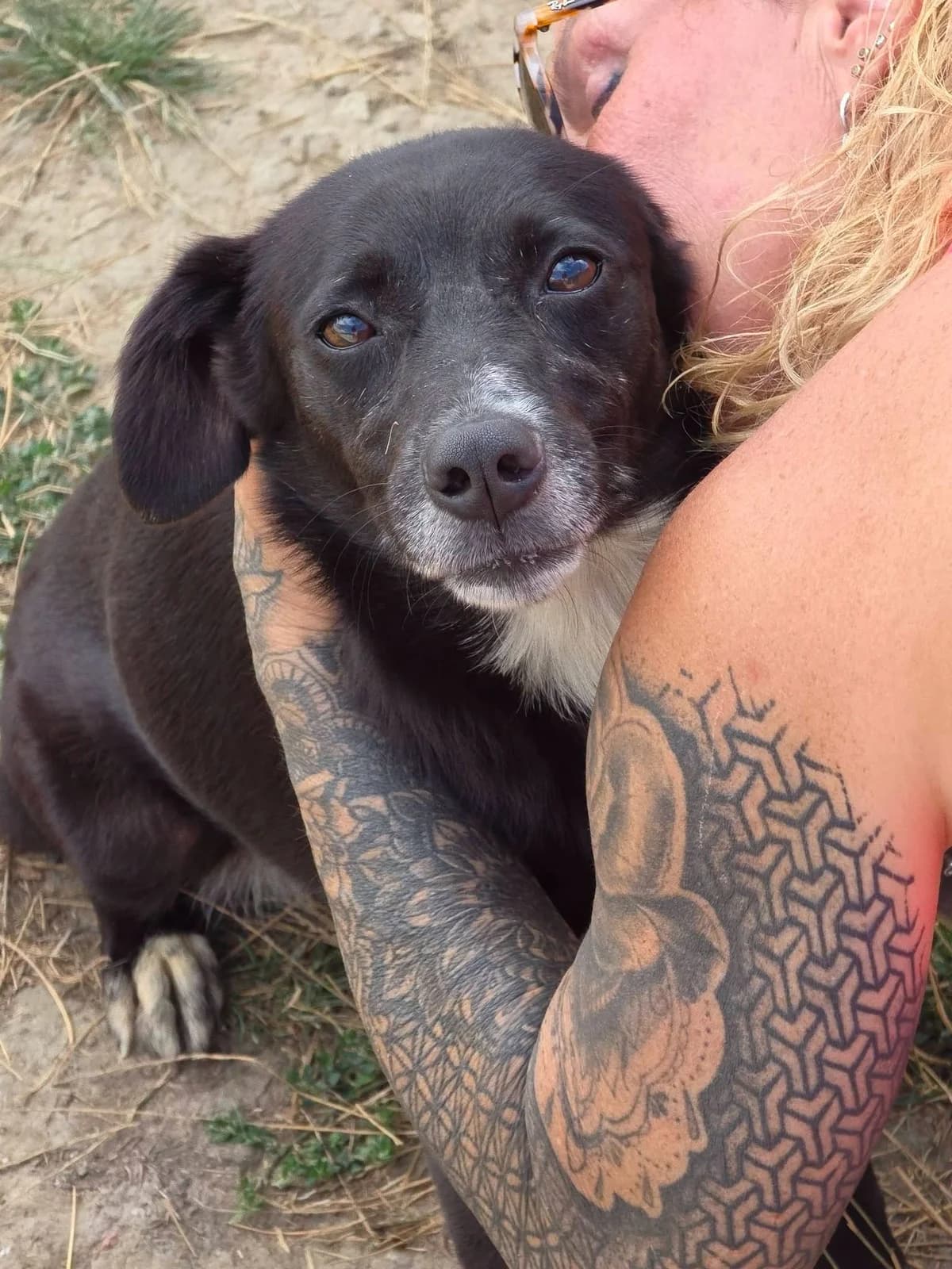 Mara, female 6yo Mixed Breed for adoption at Paws2Rescue