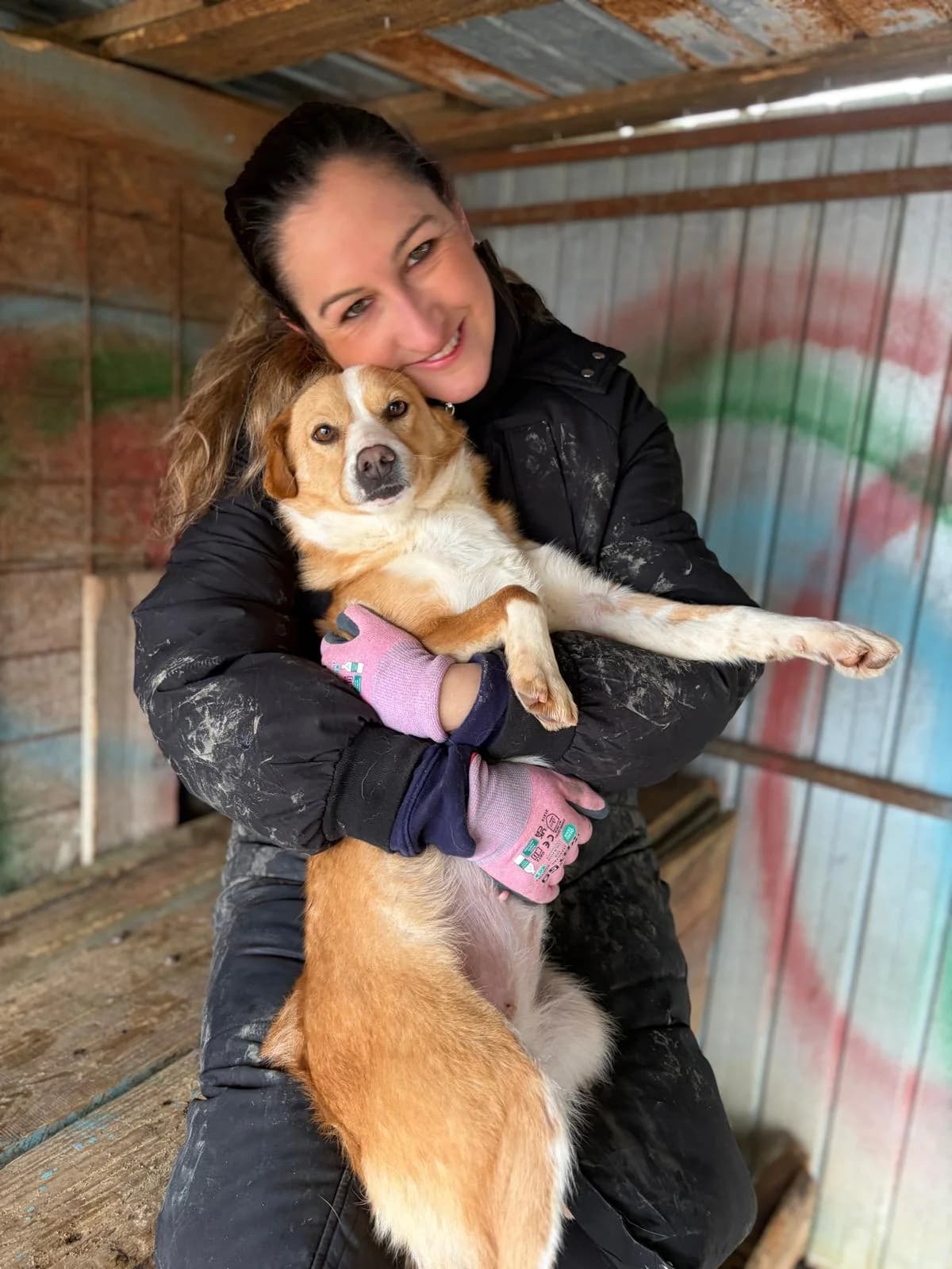 Peach, Mixed Breed (PennyPaws Rescue)