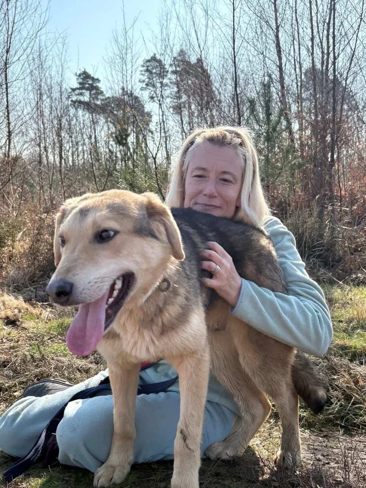 Neddy, Mixed Breed (Safe Rescue for Dogs)