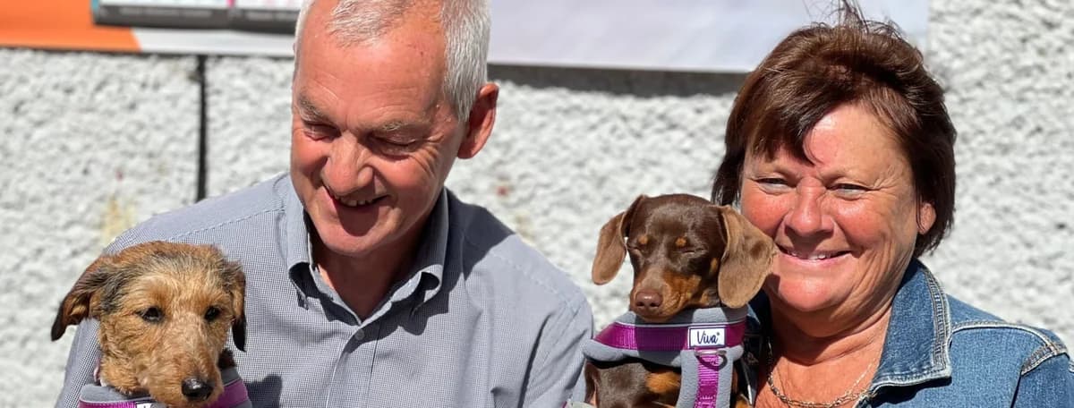 Adopt a dog,  senior Mixed Breed for adoption at Hope Rescue, Pontyclun