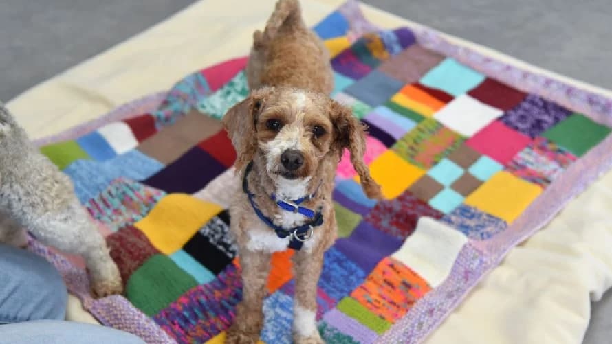 Peach (& Pear) photo 3