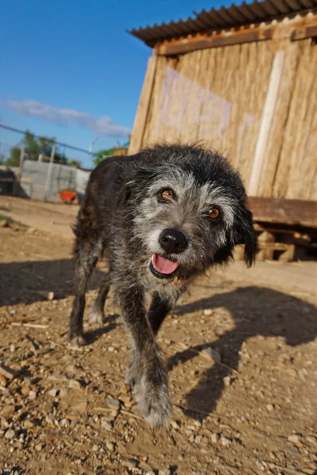 Gloria (passed away)