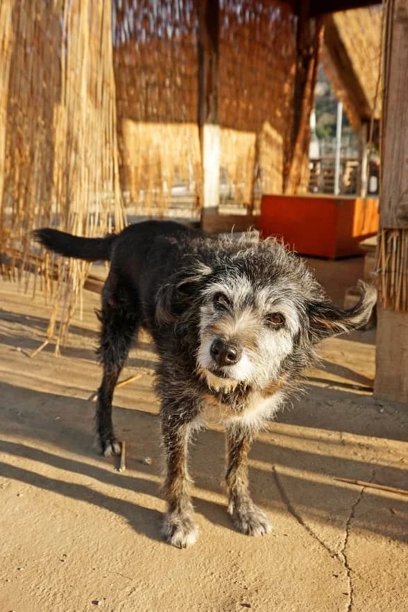 Gloria (passed away) photo 3