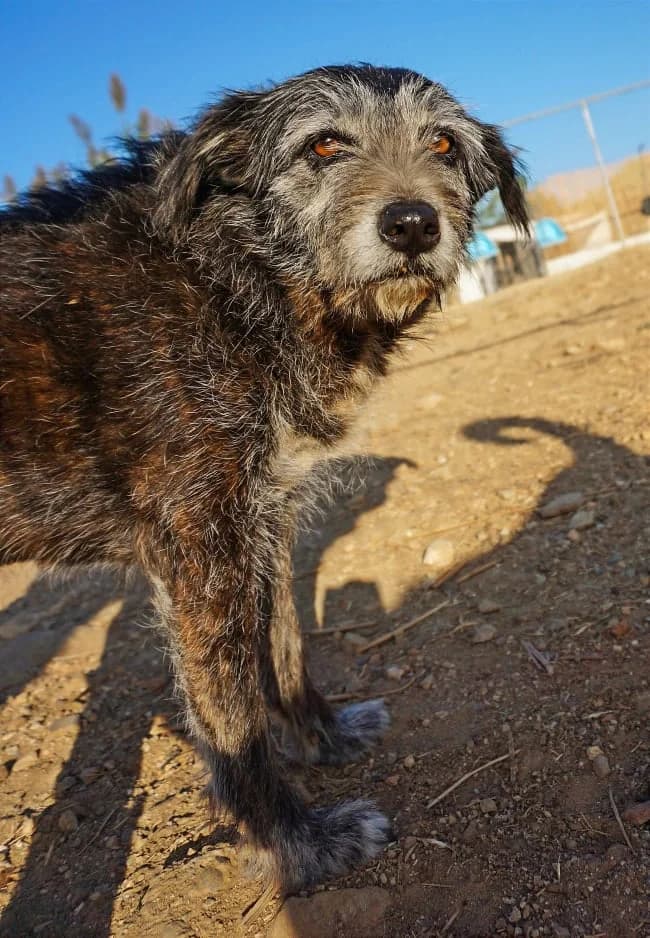 Gloria (passed away) photo 4