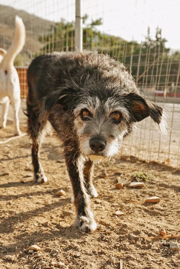 Gloria (passed away) photo 5