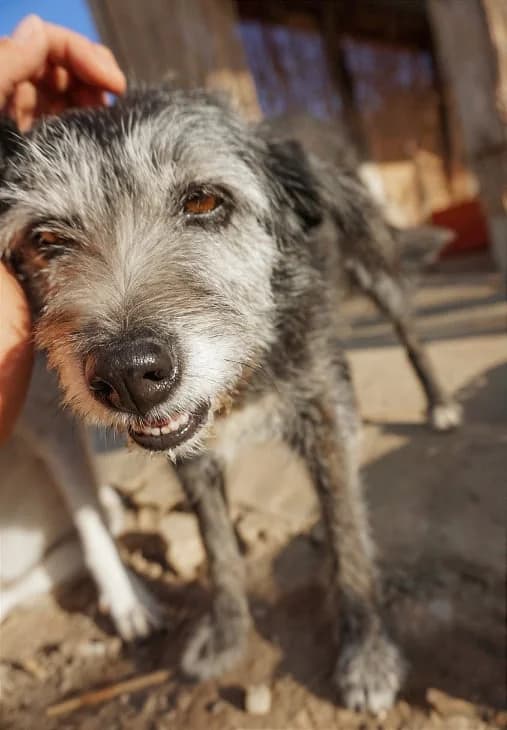 Gloria (passed away) photo 6