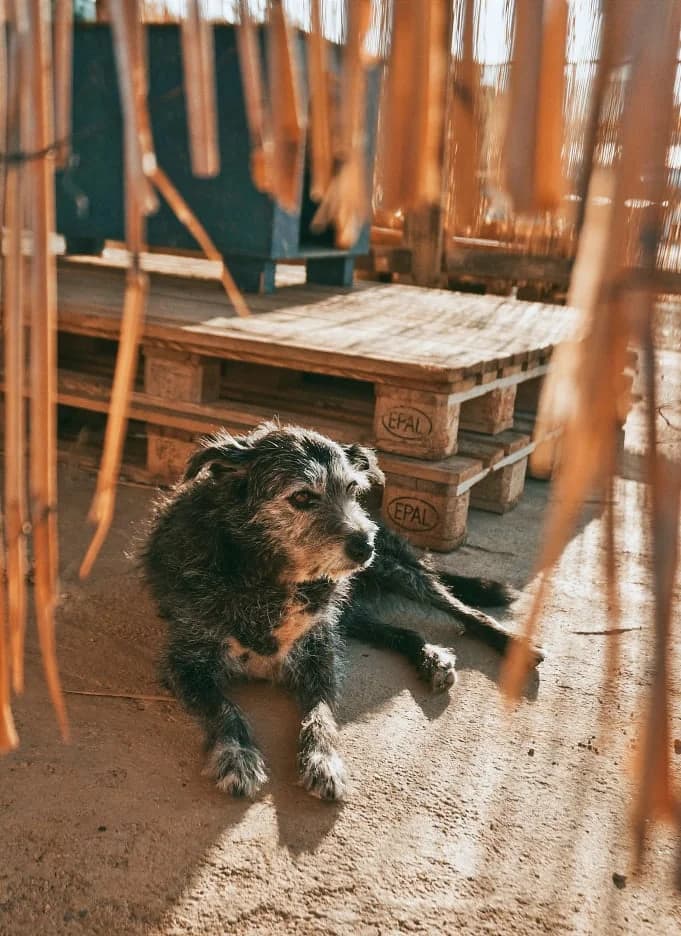 Gloria (passed away) photo 7