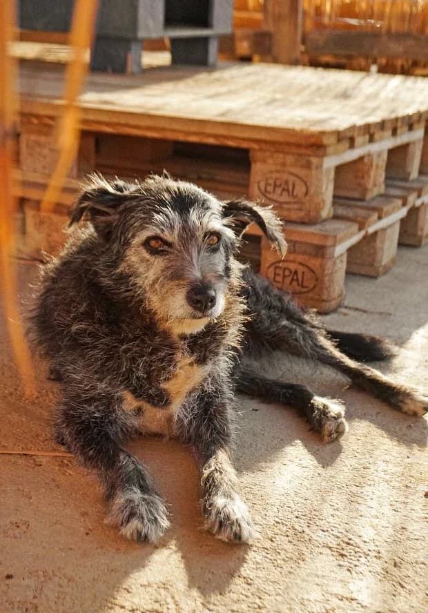 Gloria (passed away) photo 8