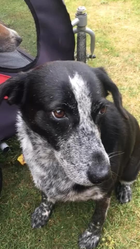 Xania (passed away) photo 2