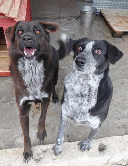 Xania (passed away) photo 4