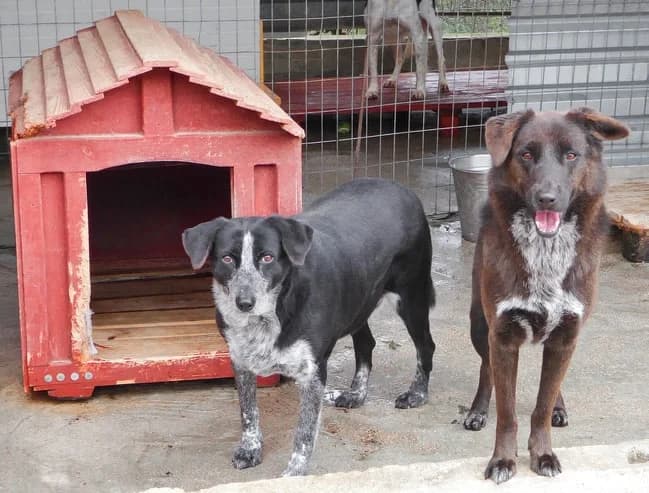 Xania (passed away) photo 5