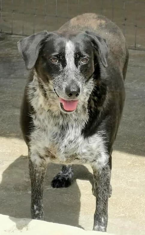 Xania (passed away) photo 6