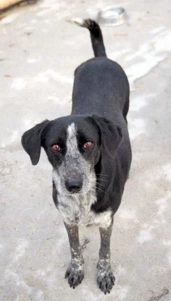 Xania (passed away) photo 7