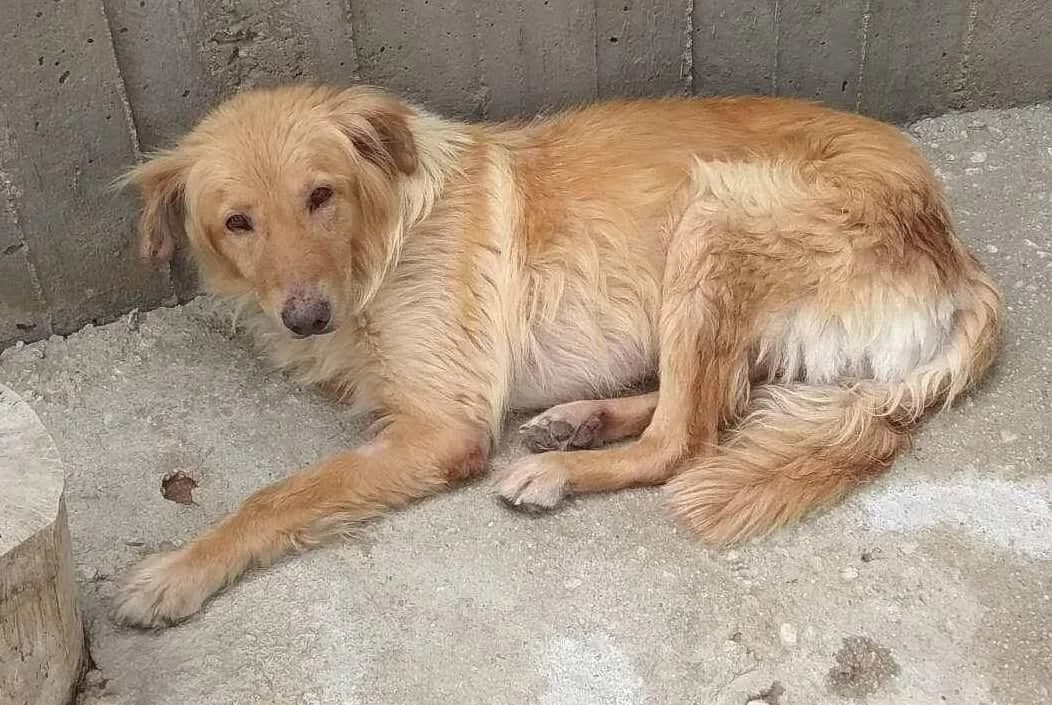 Clark – passed away photo 2