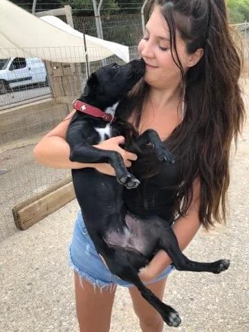 Dominica (adopted) photo 3