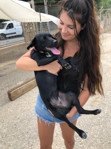 Dominica (adopted) photo 4