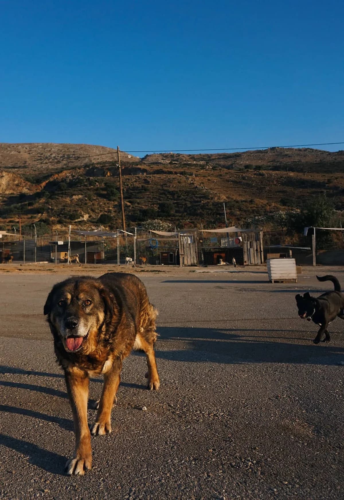 Joni (Passed away) photo 3