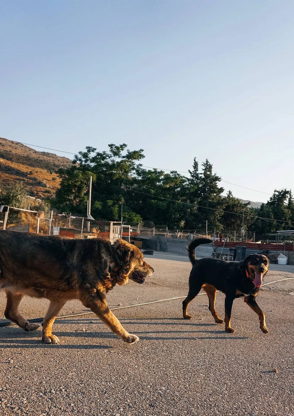 Joni (Passed away) photo 5