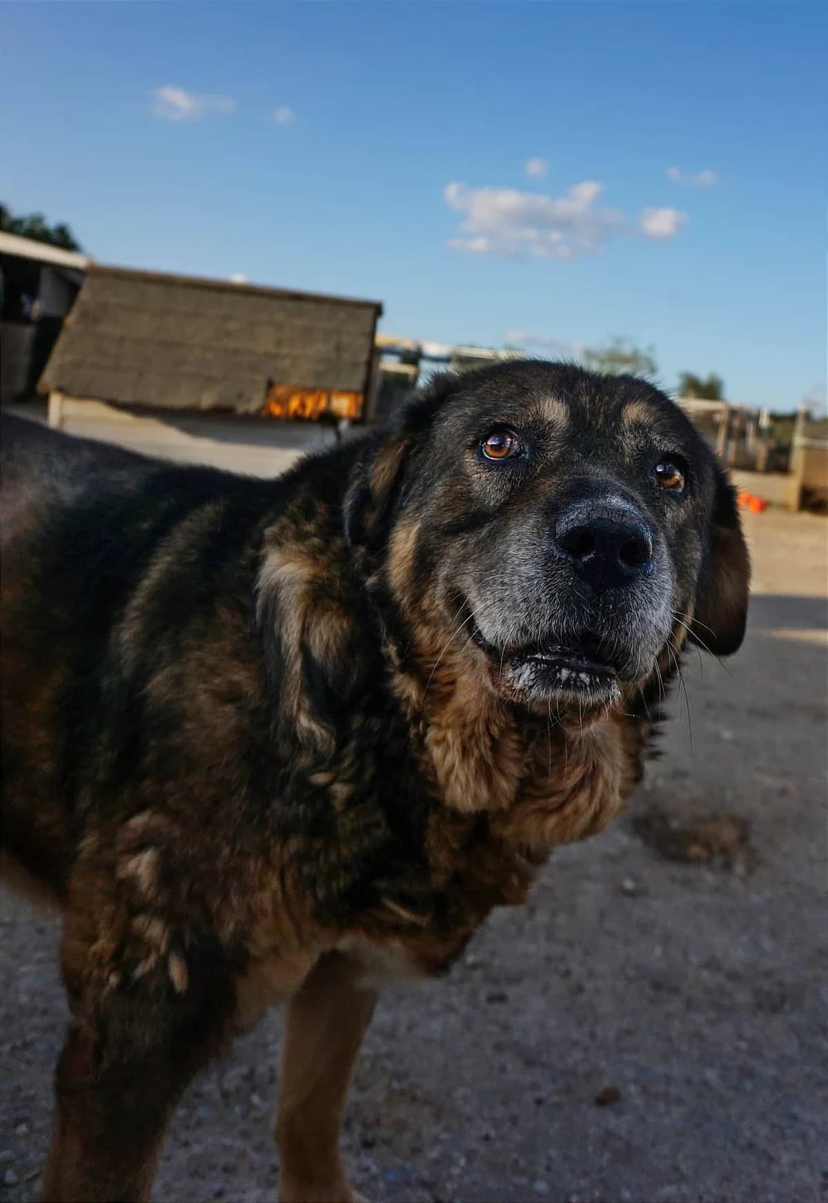 Joni (Passed away) photo 7