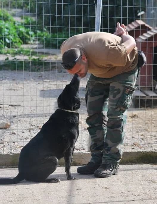 Rosa (Passed Away) photo 5