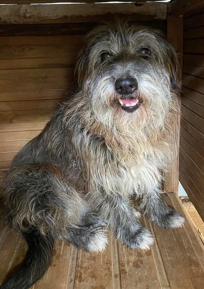 Hiromi (adopted) photo 2